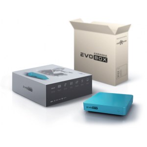Комплект: караоке-система Evobox + 2 радиомикрофона